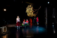 waapa 250512 rise-SILVERBACKING 18-(PROOF ONLY)