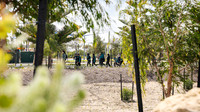 peet 250814 shorehaven tree planting 11-(PRINT ONLY)