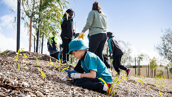 peet 250814 shorehaven tree planting 136-(WEB ONLY)