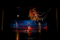 waapa 250512 rise-SILVERBACKING 1-(PROOF ONLY)