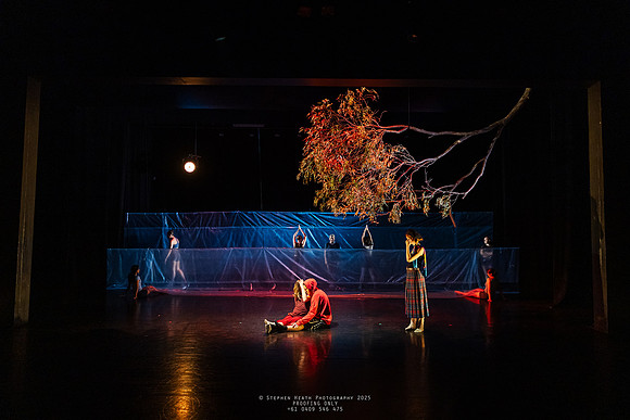 waapa 250512 rise-SILVERBACKING 1-(PROOF ONLY)