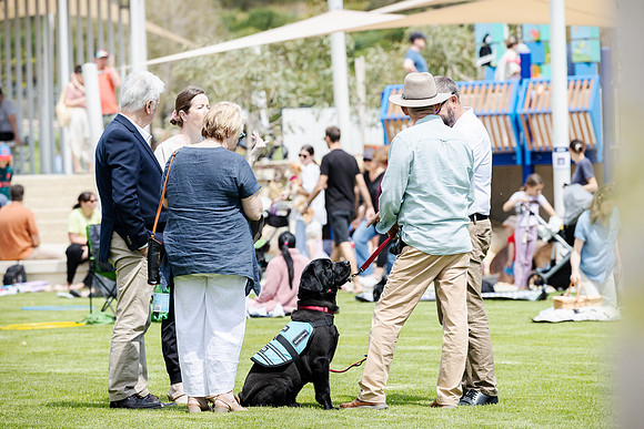 sat 241019 catalina napoli park 23-(WEB ONLY)