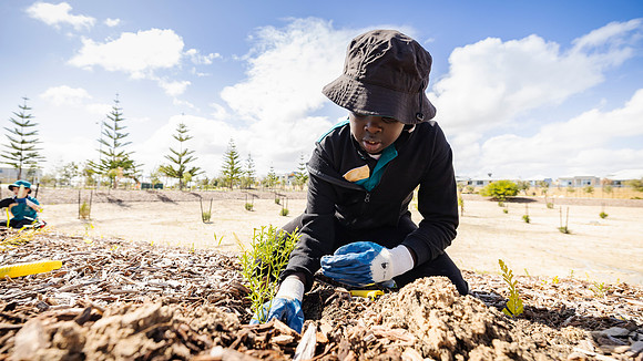 peet 250814 shorehaven tree planting 114-(PRINT ONLY)