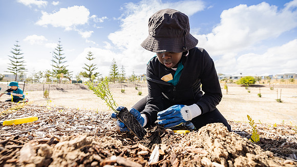 peet 250814 shorehaven tree planting 112-(WEB ONLY)