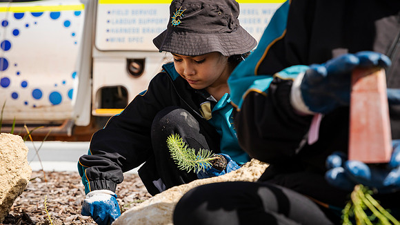 peet 250814 shorehaven tree planting 91-(PRINT ONLY)