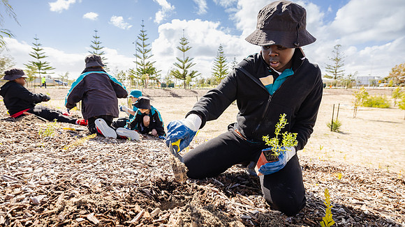 peet 250814 shorehaven tree planting 103-(WEB ONLY)