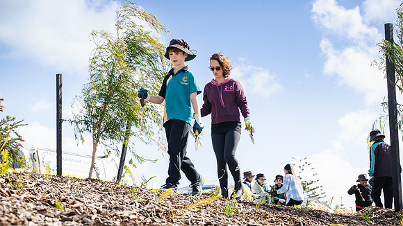 peet 250814 shorehaven tree planting 137-(WEB ONLY)