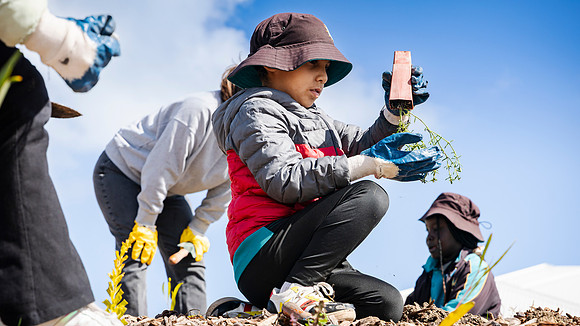 peet 250814 shorehaven tree planting 130-(PRINT ONLY)