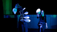 waapa 2411008 tmotlb 41-(WEB ONLY)